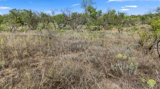 Photo of 1078 County Road 498