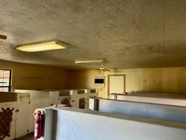 Photo of 385 County Road 161