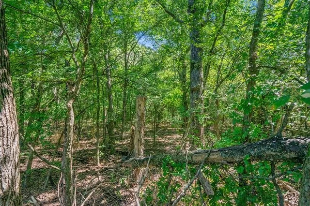 Photo of 8855 County Road 107