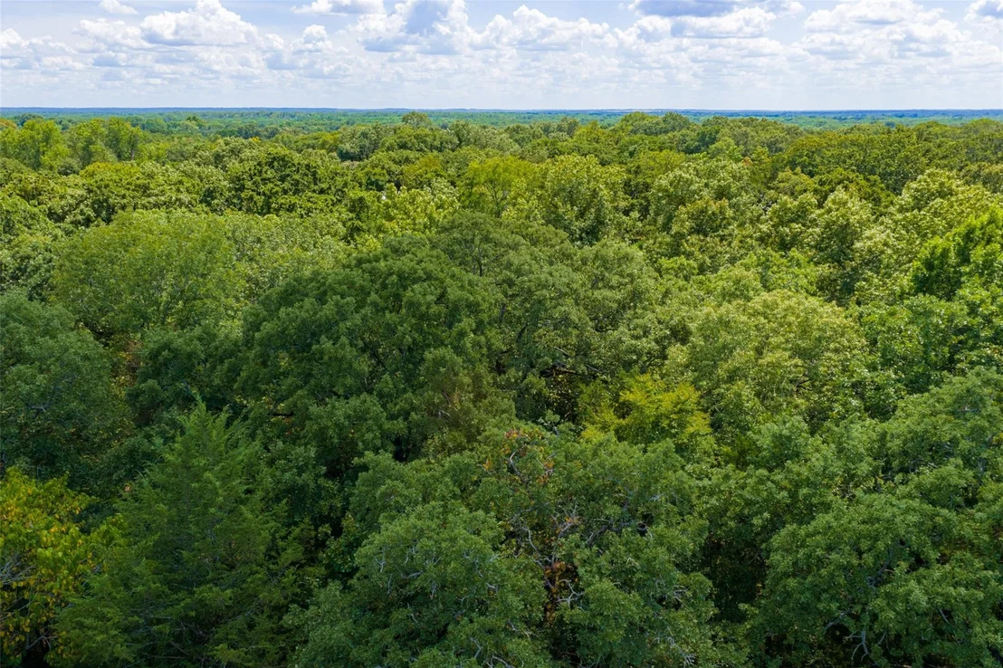 Photo of 11748 River Ranch Road