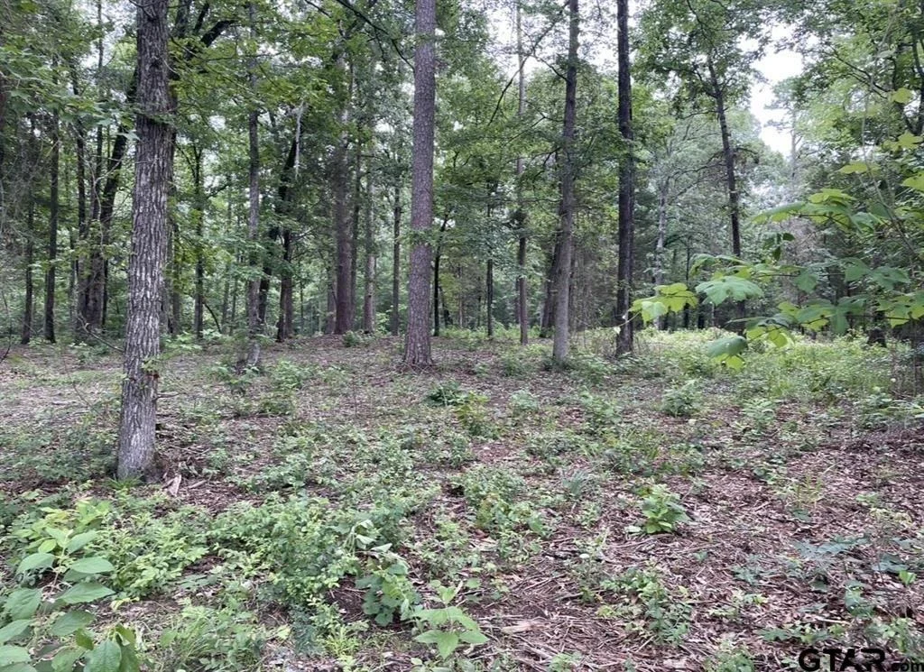 Photo of 1688 County Road 1597