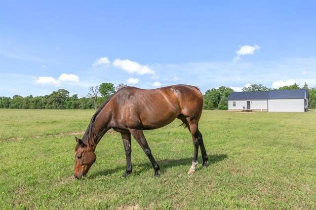 Photo of 15703 County Road 2854