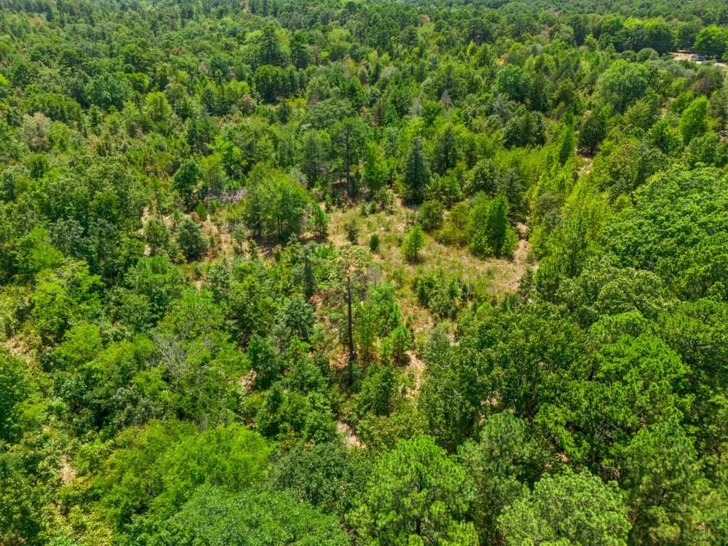 Photo of TBD CR 3854 4.542 Acres