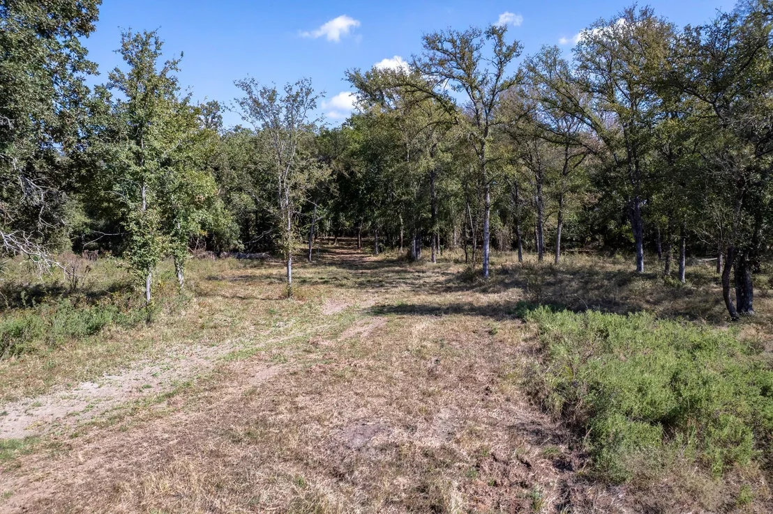 Photo of 342 Tatanka Trail
