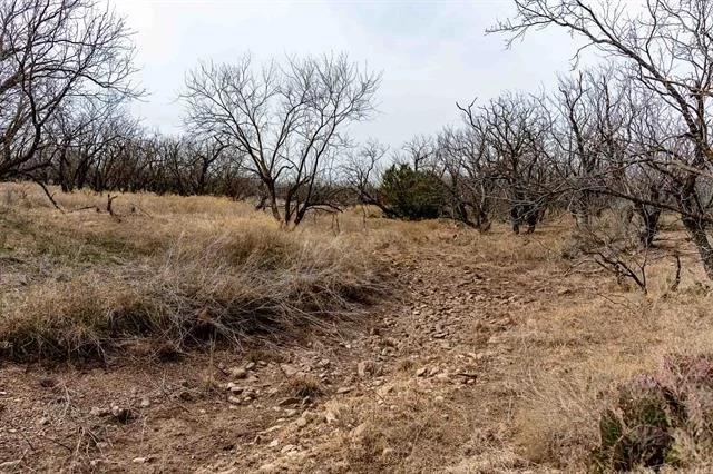 Photo of 577 County Road 364