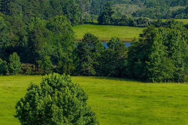 Photo of 2030 County Road 1640