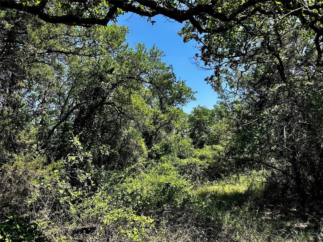 Photo of 15541 County Road 409