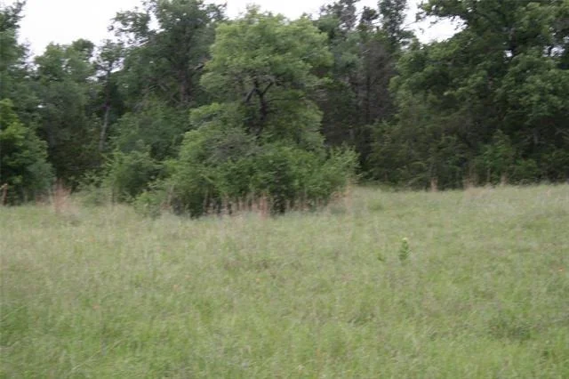 Photo of 2701 Live Oak Road