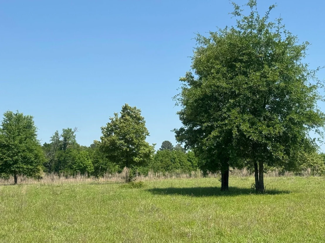 Photo of 0 S US-79 Highway