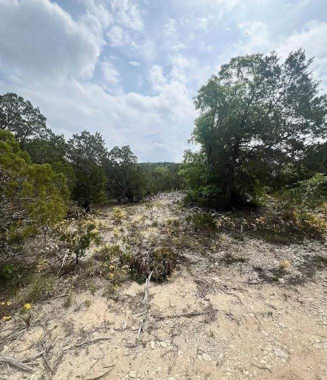 Photo of TBD Tyler Trail