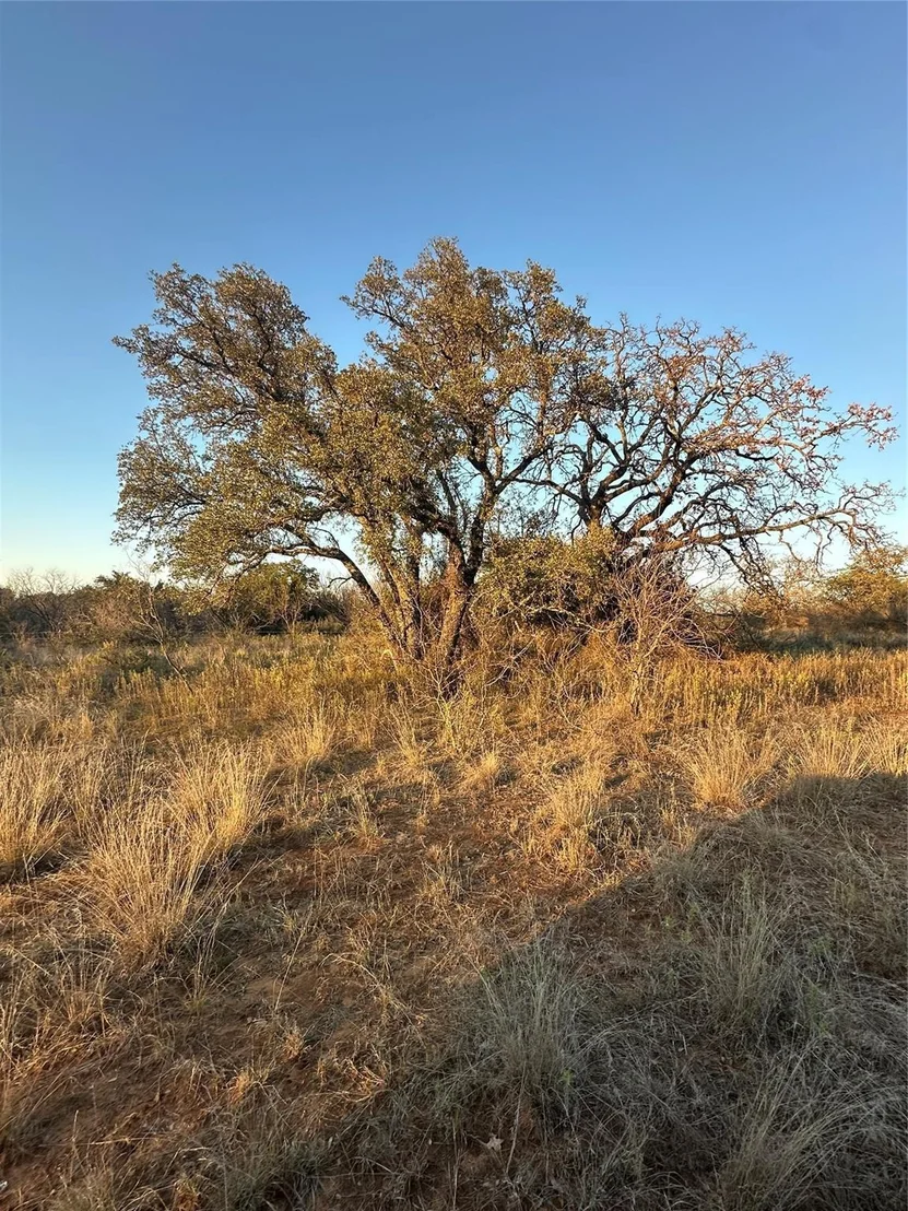 Photo of TBD Thomas 80 Ranch