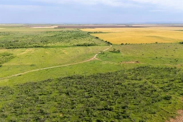 Photo of 10500 CR 405
