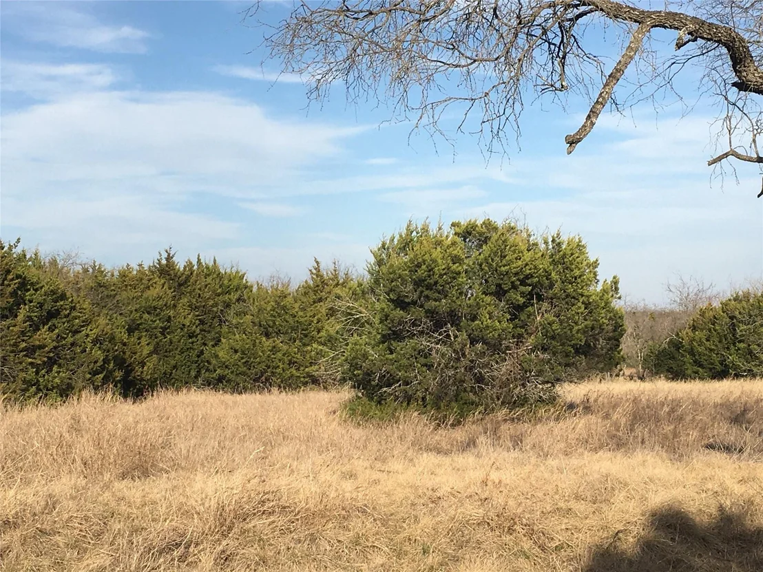 Photo of 36062 Cedar Ridge Drive