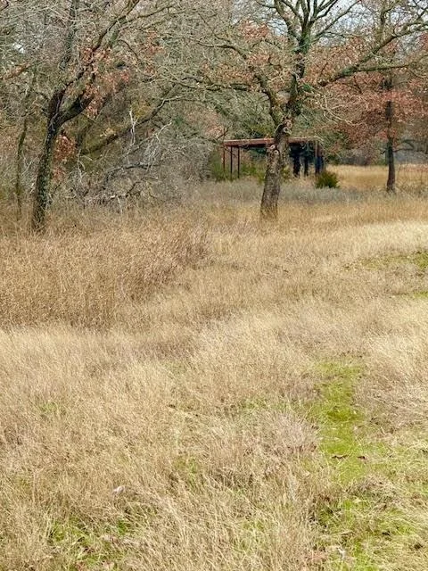 Photo of 702 County Road 3597