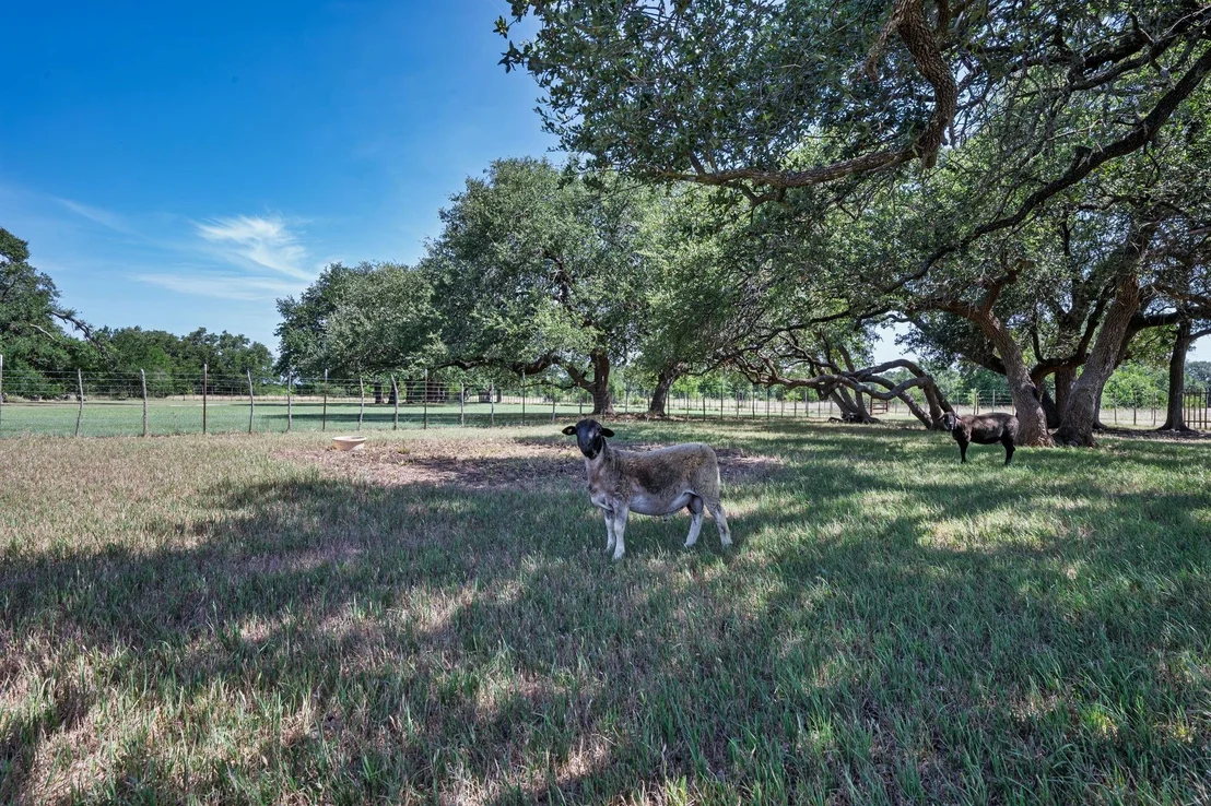 Photo of 2517 County Road 4240