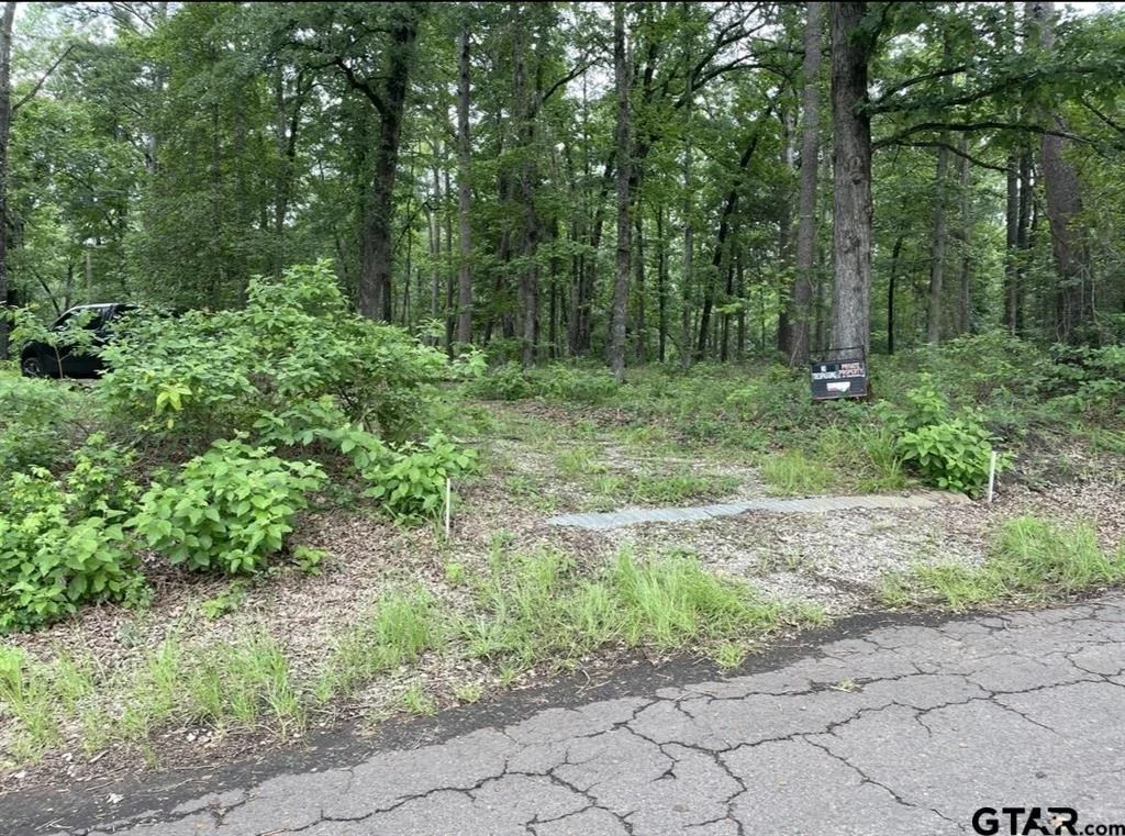 Photo of 1688 County Road 1597