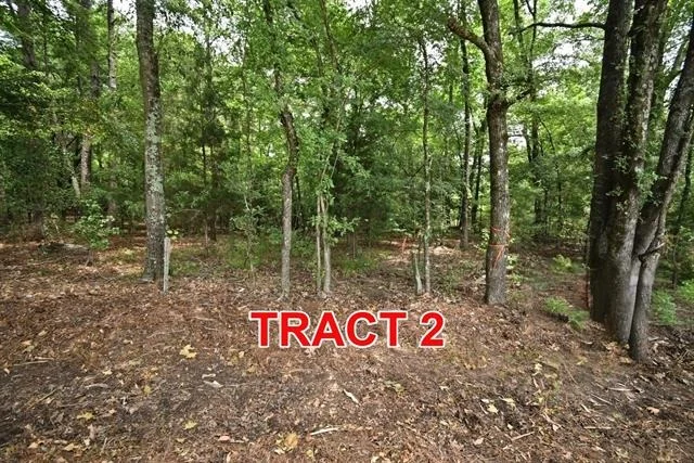 Photo of Tract 2 County Road 3117
