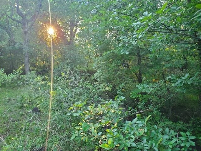 Photo of 3203 County Road 3489
