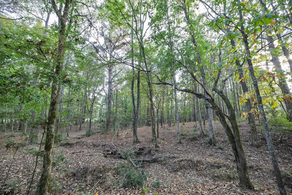 Photo of 973 County Road 2572