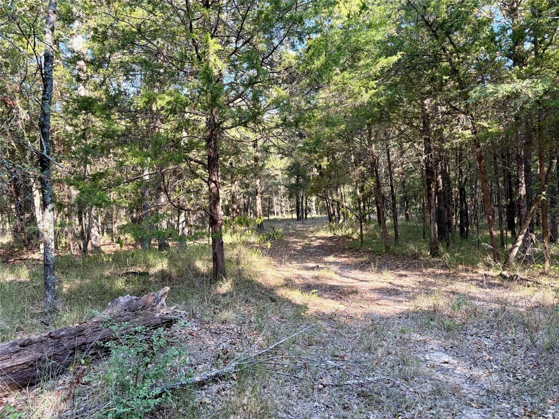 Photo of 10740 N Us-175