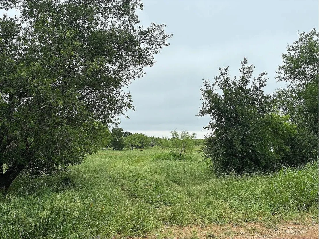 Photo of 433 County Road 327