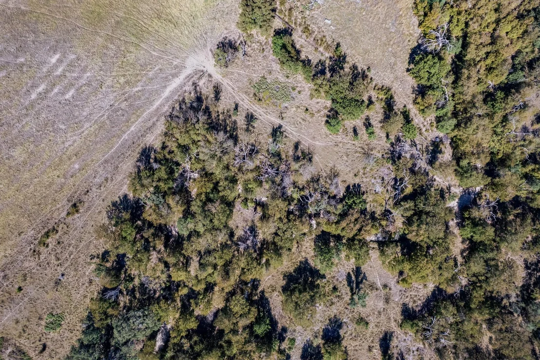 Photo of 342 Tatanka Trail