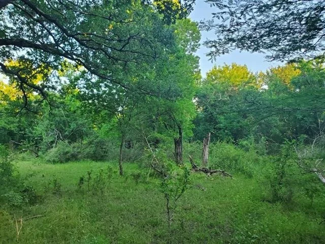 Photo of 3203 County Road 3489