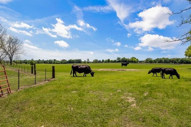 Photo of 290 Vz County Road 3222