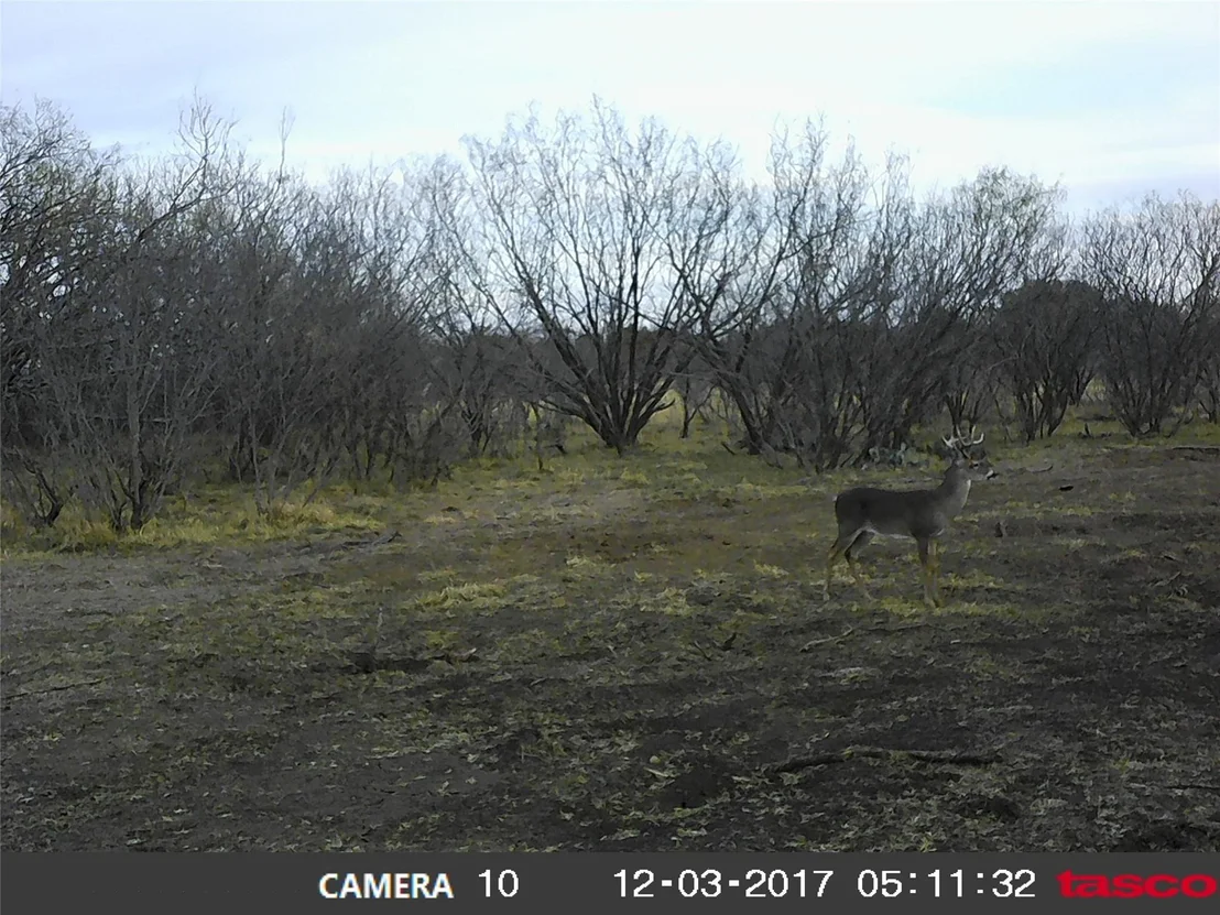 Photo of 9998 Hwy 67-84