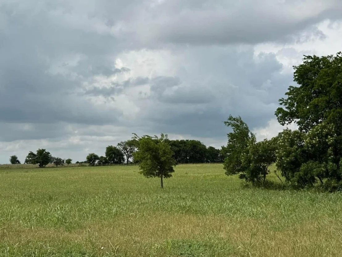 Photo of 1162 County Road 134