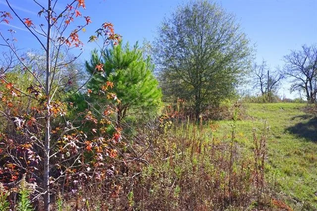Photo of 6488 State Highway 135 N
