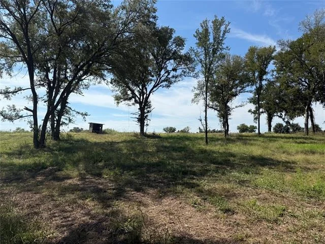 Photo of 1917 Wildcat Circle