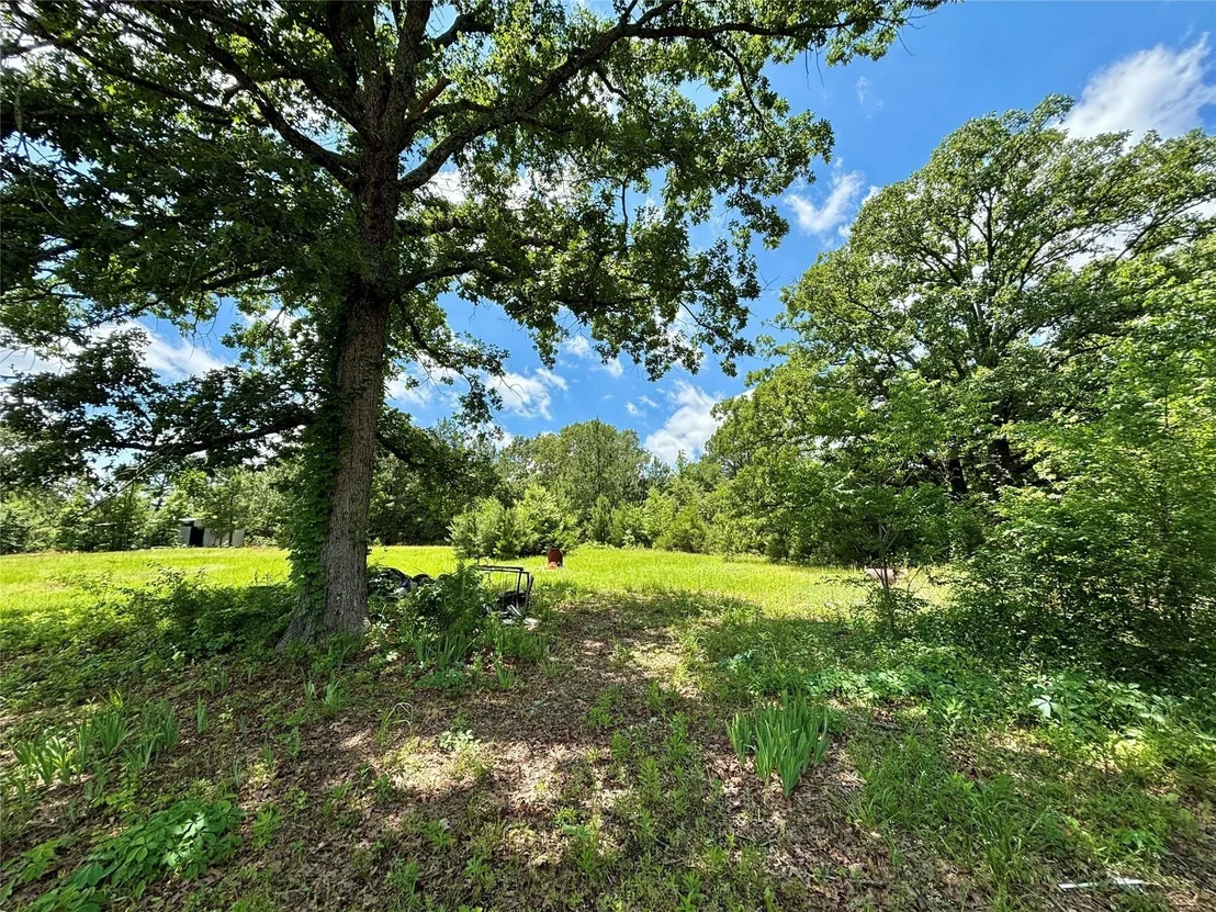 Photo of 5982 Doe Trail