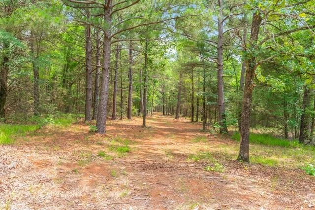 Photo of Unit TRACT1 at 16092 County Road 440