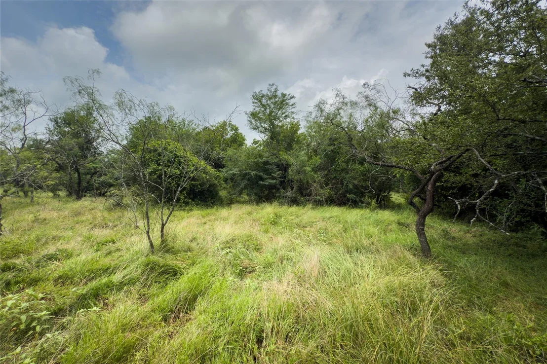 Photo of Lot 11 County Road 173