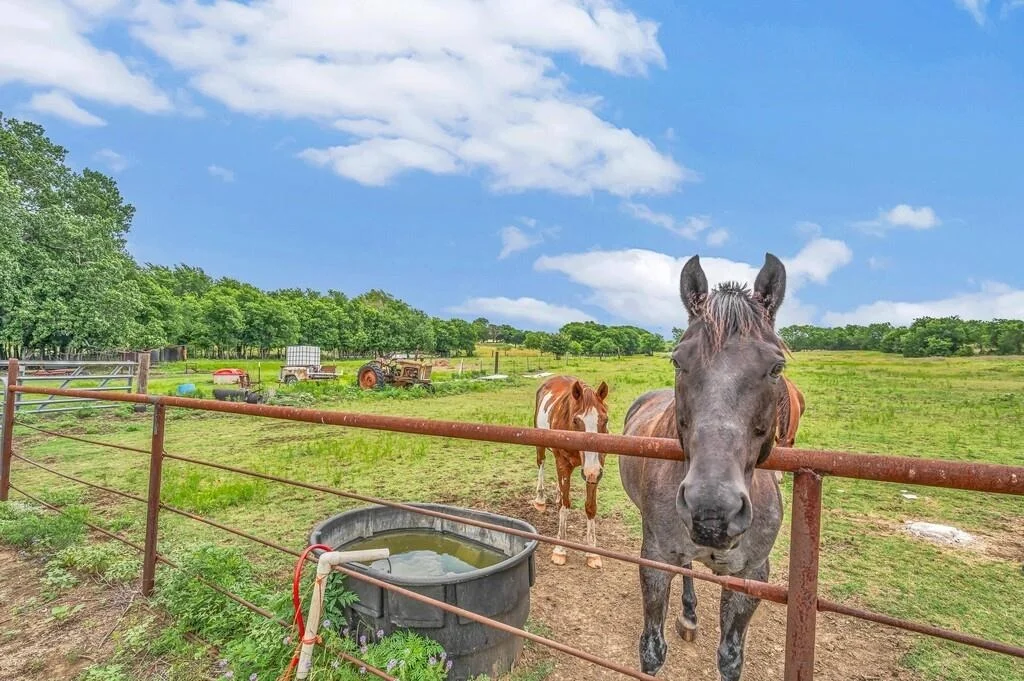 Photo of 1176 Blue Cut Road N