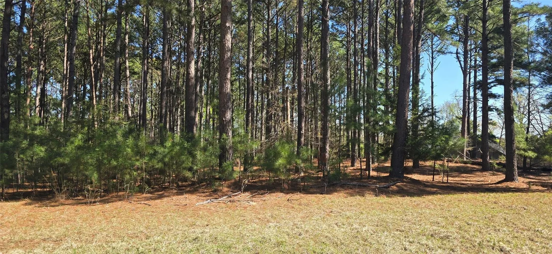 Photo of 8300 Trophy Point