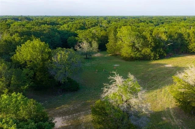 Photo of 10100 County Road 4028