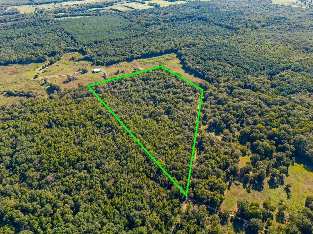 Photo of TBD County Road 3324, 24 Ac