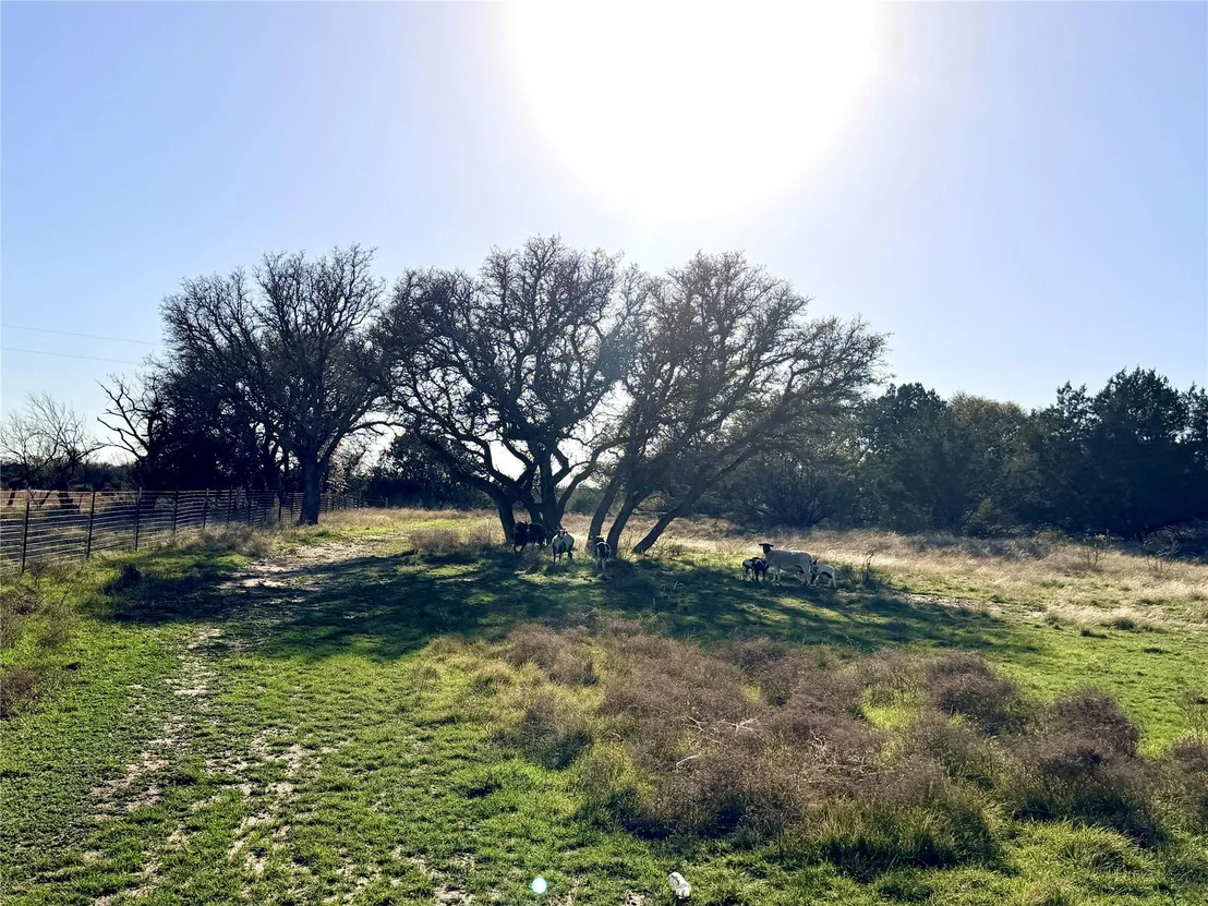 Photo of 65 County Road 406