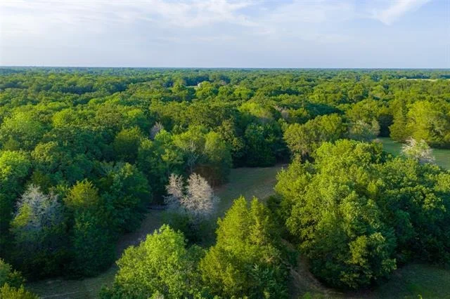Photo of 10100 County Road 4028