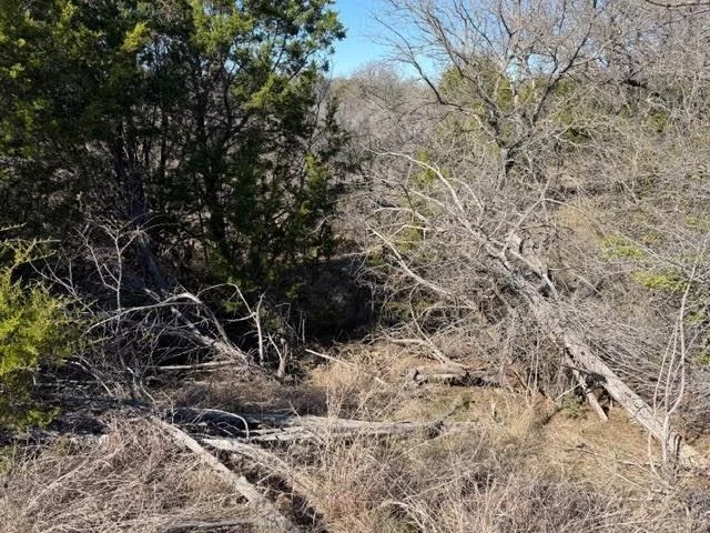 Photo of 2045 Canyon Wren Loop