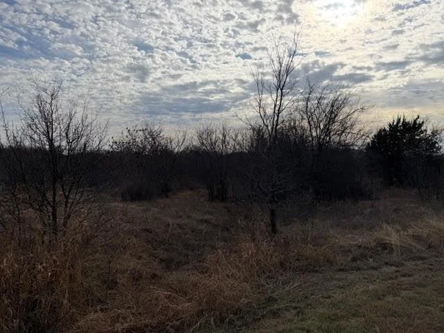 Photo of 1402 Evening Primrose Drive