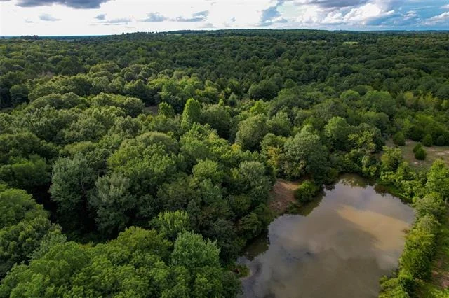 Photo of 8690 County Road 1119