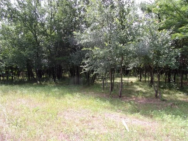 Photo of 4188 Willow Oak Bend
