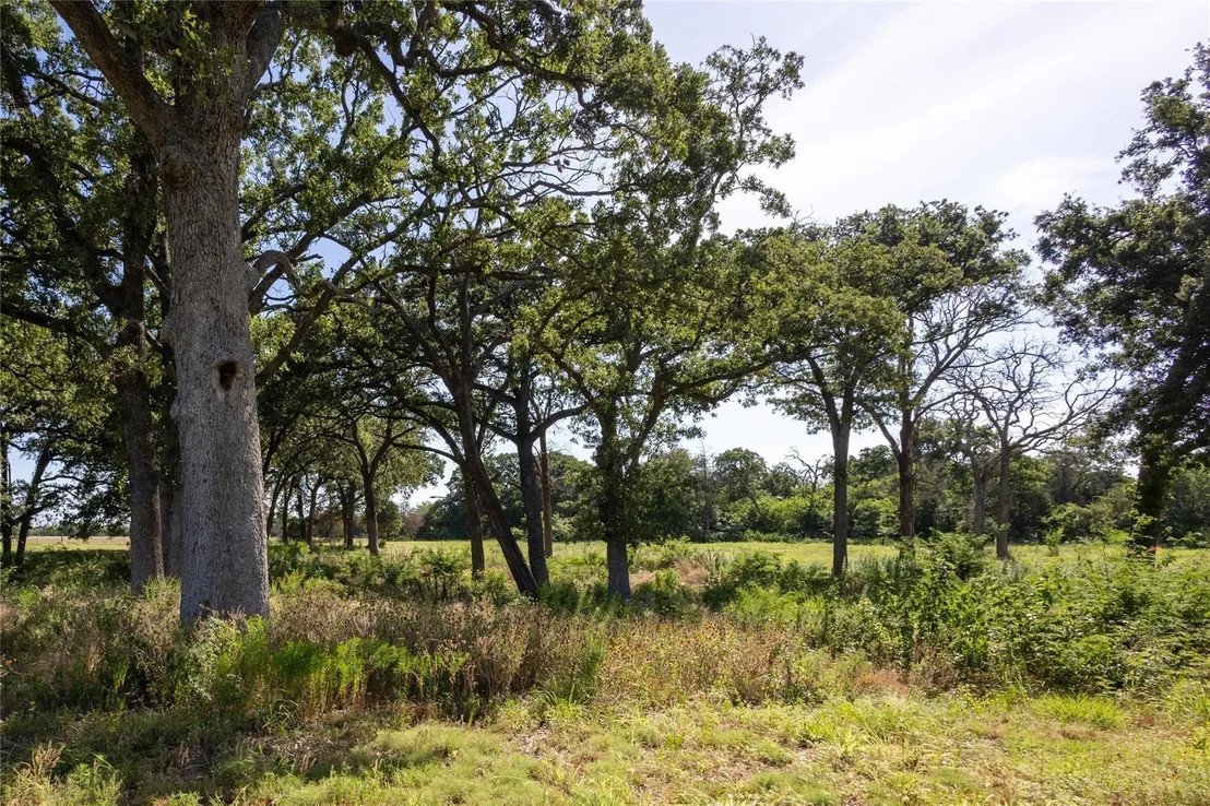 Photo of 278 County Road 2241