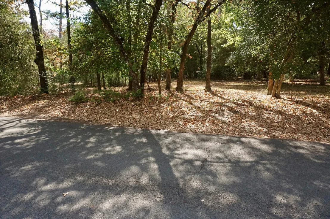 Photo of TBD Lot 146 (Evening Shadows Trail) Trail