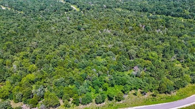 Photo of TBD Fm 489 E