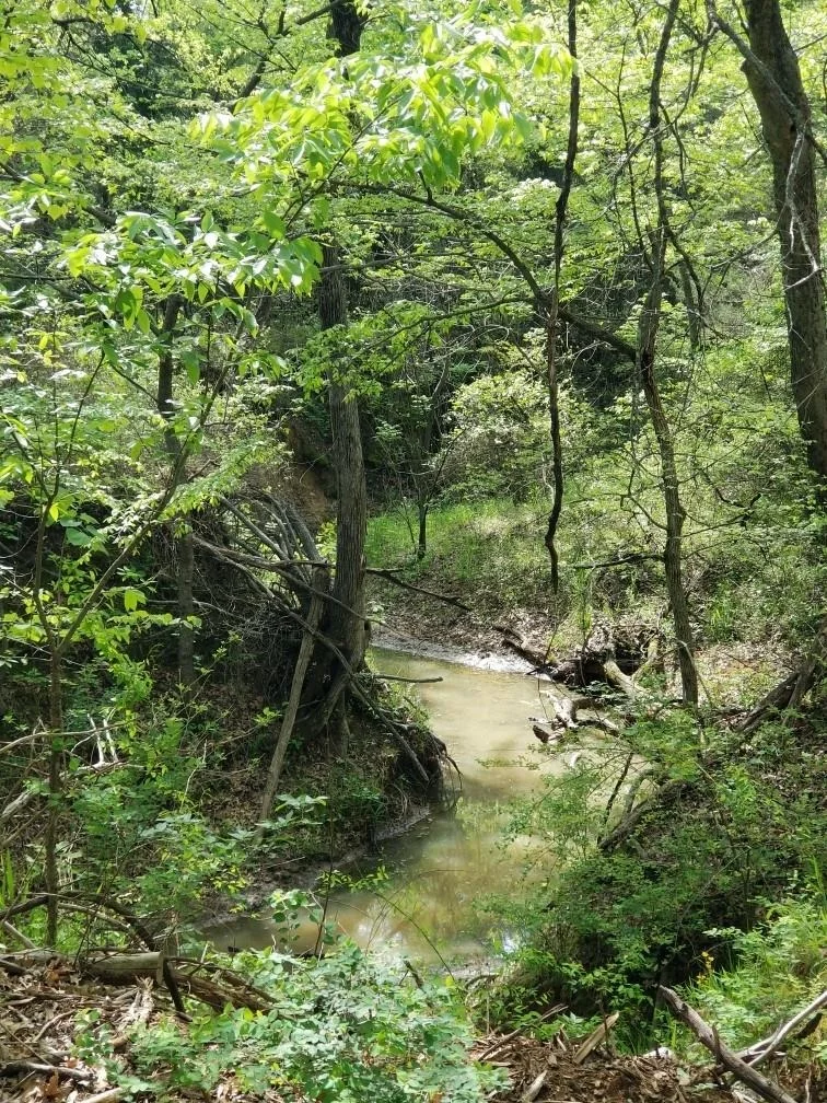 Photo of 0 Fleming Road
