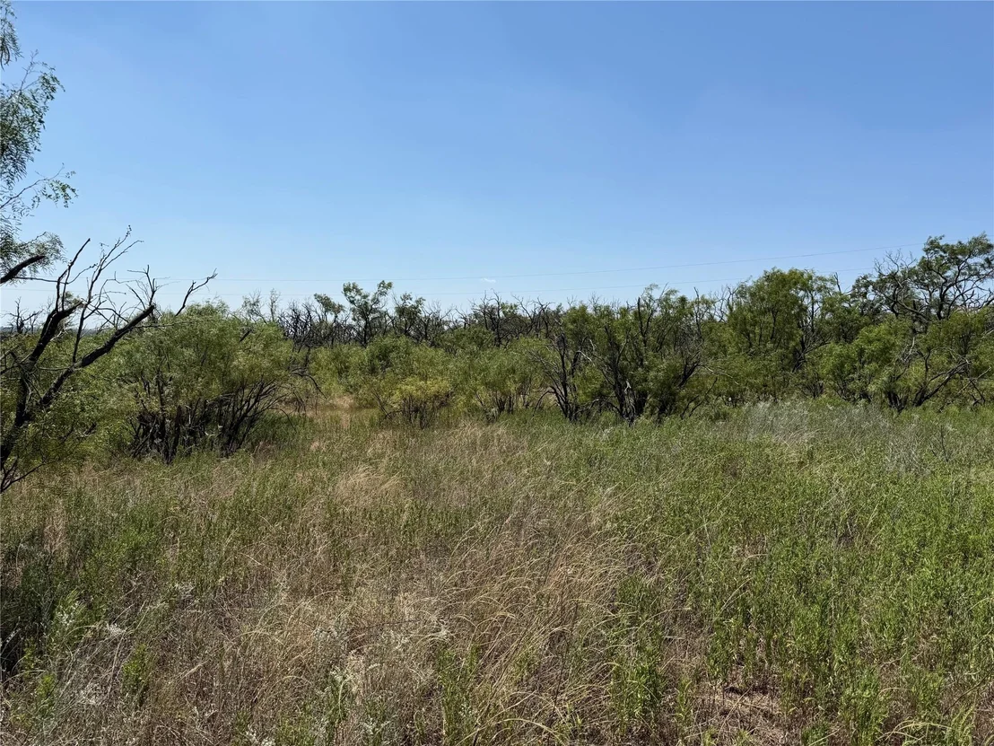 Photo of 501 County Road 376